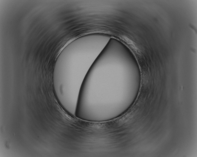 X0000091861369200709191108