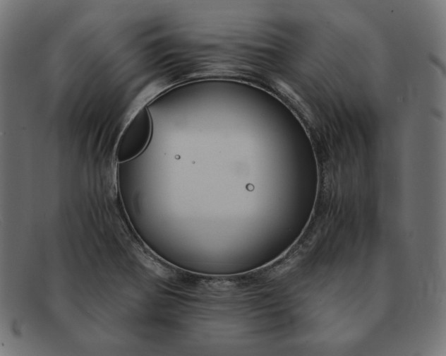 X0000091861370200709191108