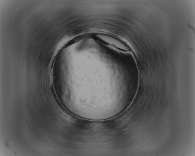 X0000091861371200709191108