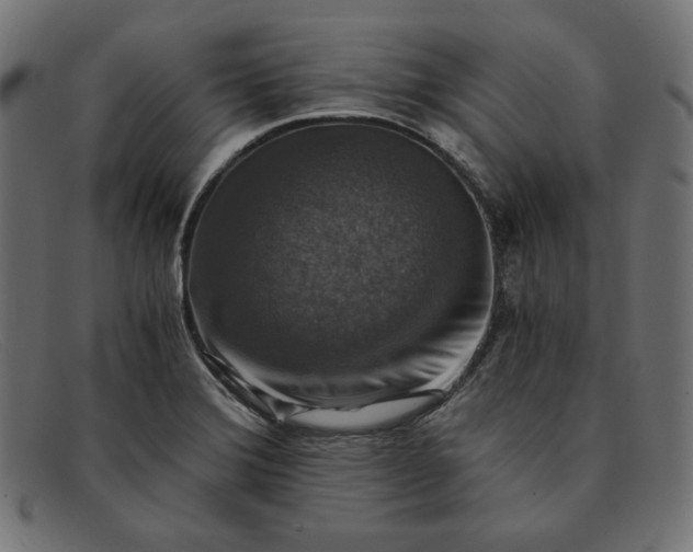 X0000091861372200709191108