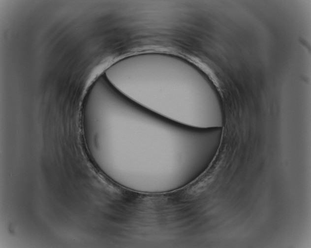 X0000091861373200709191108