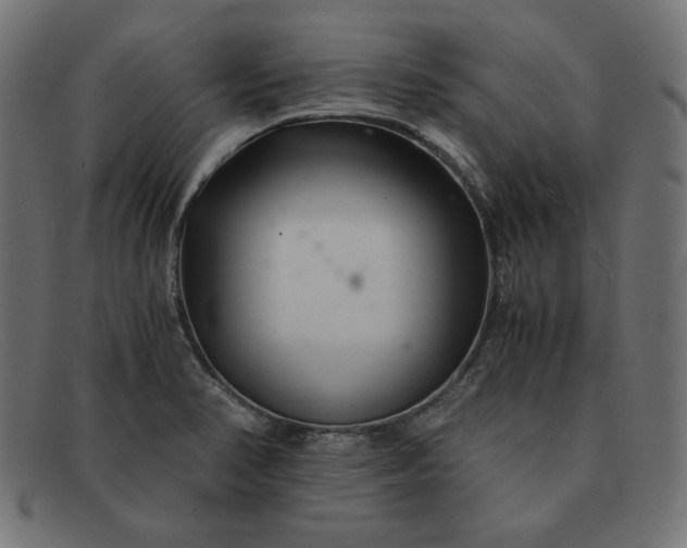 X0000091861374200709191108