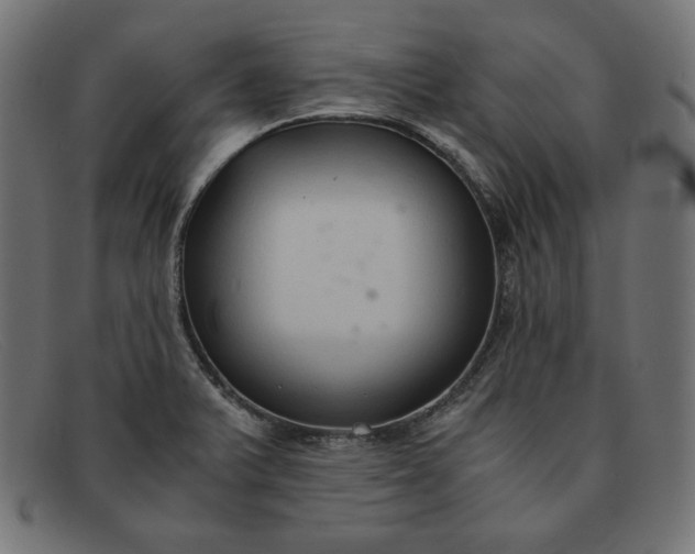 X0000091861375200709191108