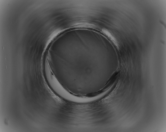 X0000091861376200709191108