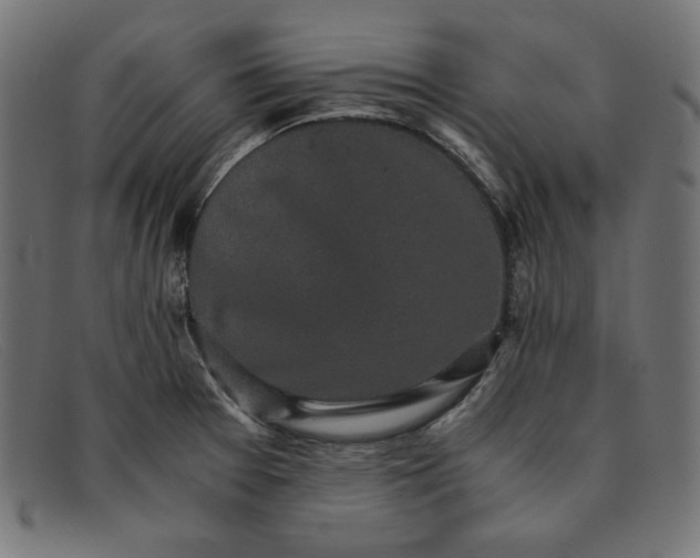 X0000091861377200709191108