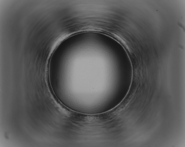 X0000091861379200709191108