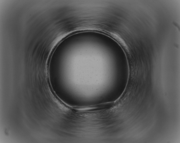 X0000091861380200709191108