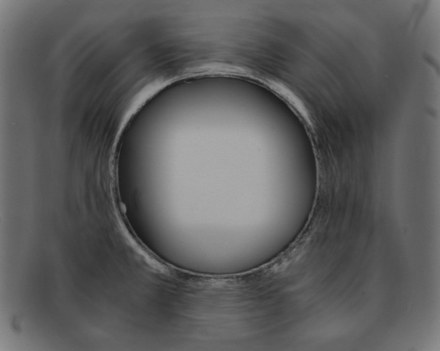 X0000091861381200709191108