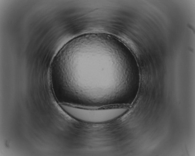 X0000091861382200709191108