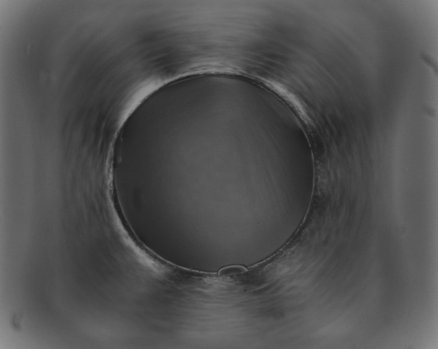 X0000091861383200709191108