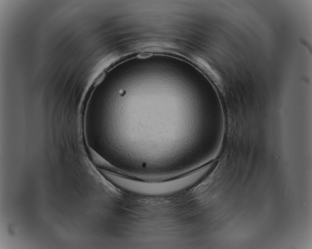 X0000091861384200709191108