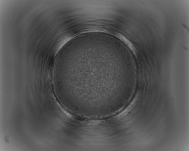 X0000091861385200709191108