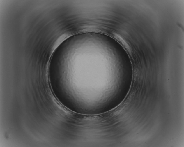 X0000091861386200709191108