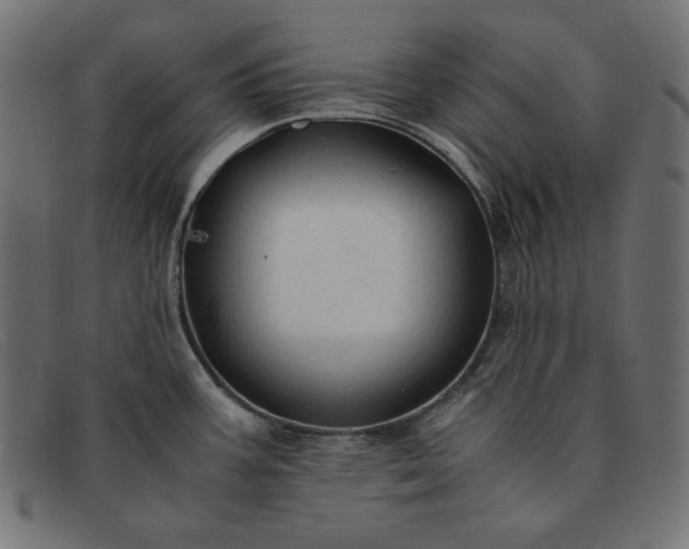 X0000091861387200709191107