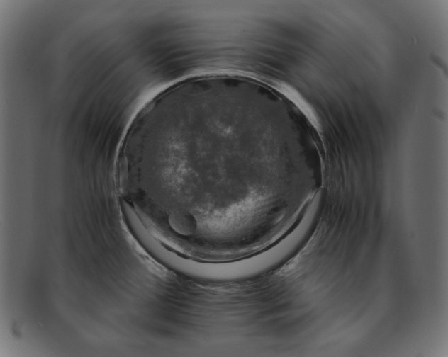 X0000091861388200709191107