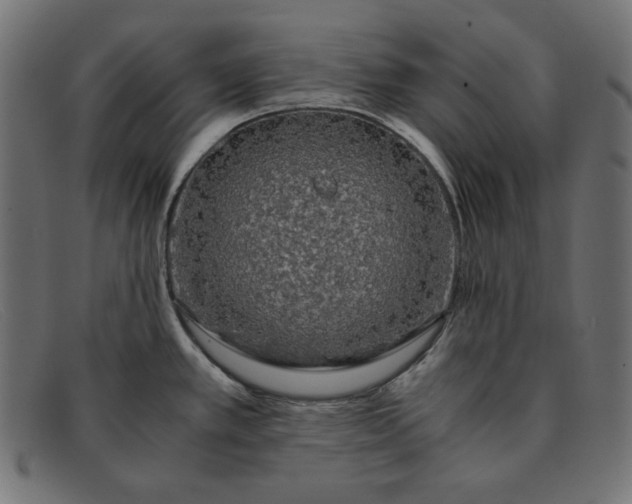 X0000091861389200709191107