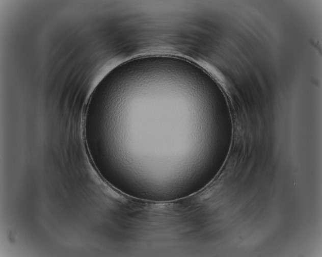 X0000091861390200709191107