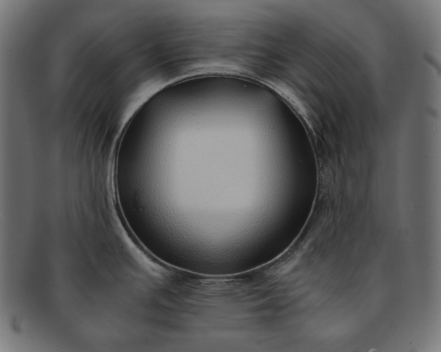 X0000091861391200709191107