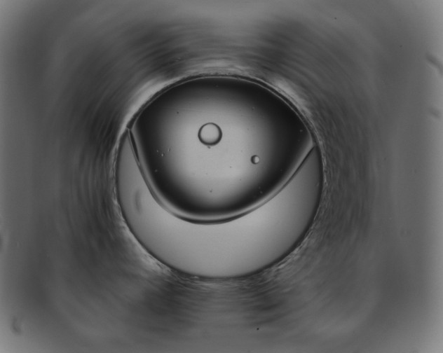 X0000091861392200709191107