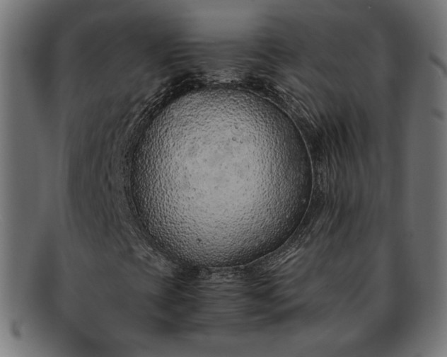 X0000091861393200709191107