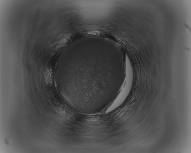 X0000091861394200709191107