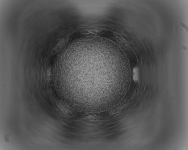 X0000091861395200709191107