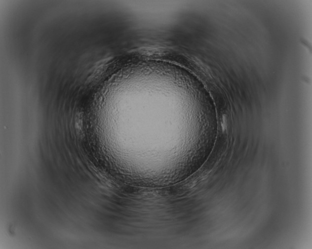 X0000091861396200709191107