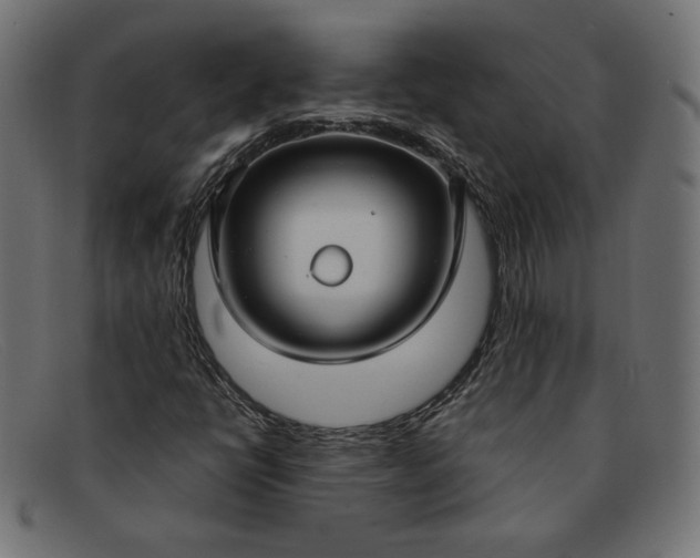 X0000091861398200709191107