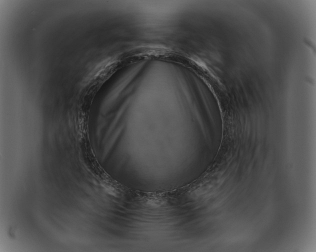 X0000091861399200709191107