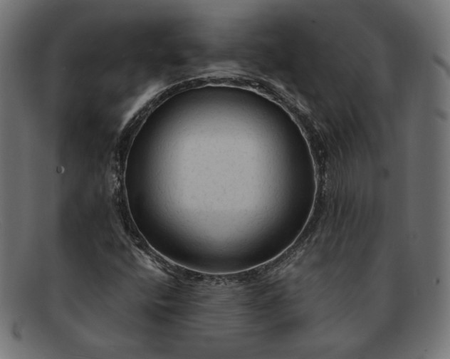 X0000091861400200709191107