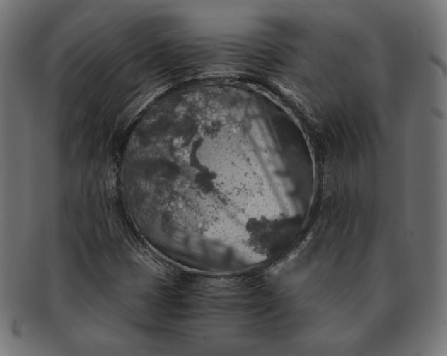 X0000091861401200709191107