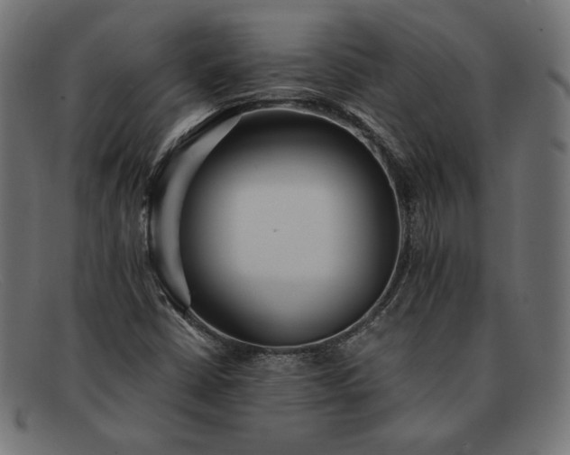 X0000091861402200709191107