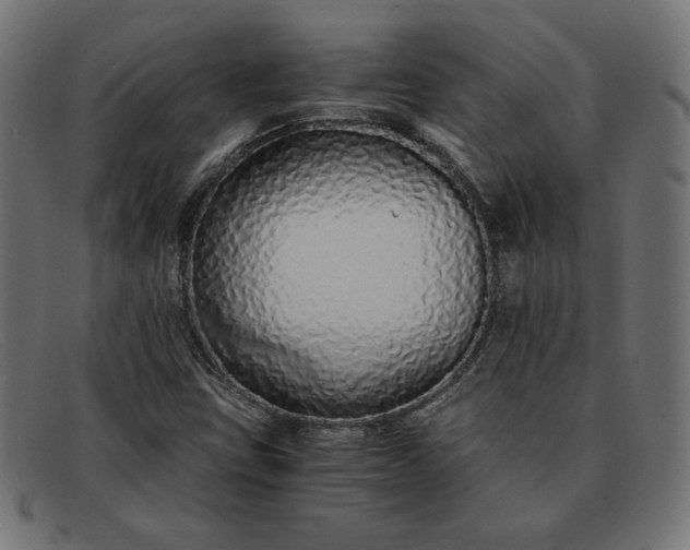 X0000091861403200709191107