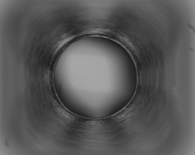 X0000091861404200709191107