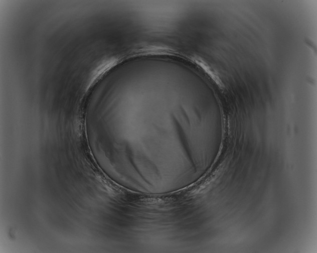 X0000091861405200709191107