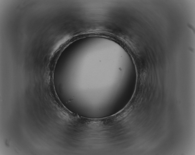 X0000091861406200709191107