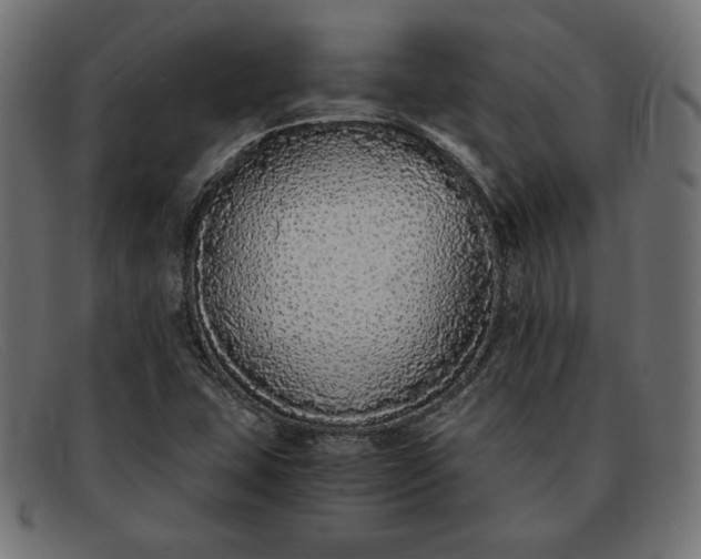 X0000091861407200709191107