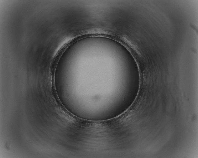 X0000091861408200709191107