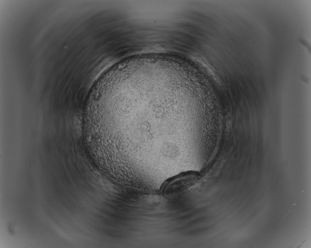 X0000091861409200709191107