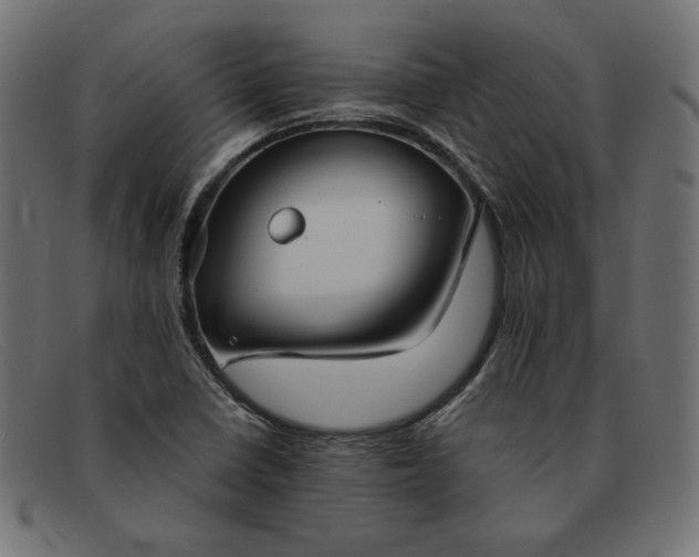 X0000091861410200709191107