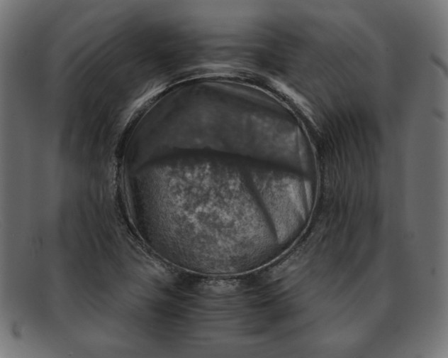 X0000091861411200709191107