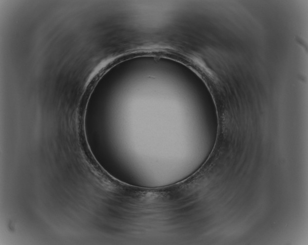 X0000091861412200709191107