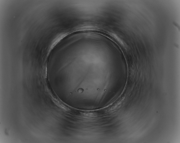 X0000091861413200709191107