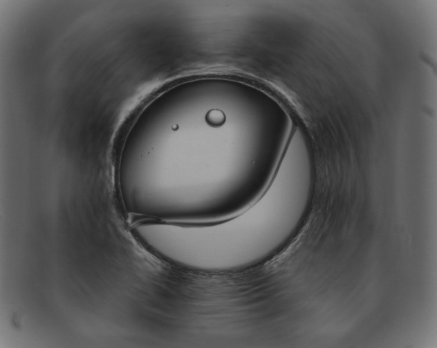 X0000091861414200709191107