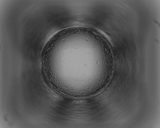 X0000091861415200709191107