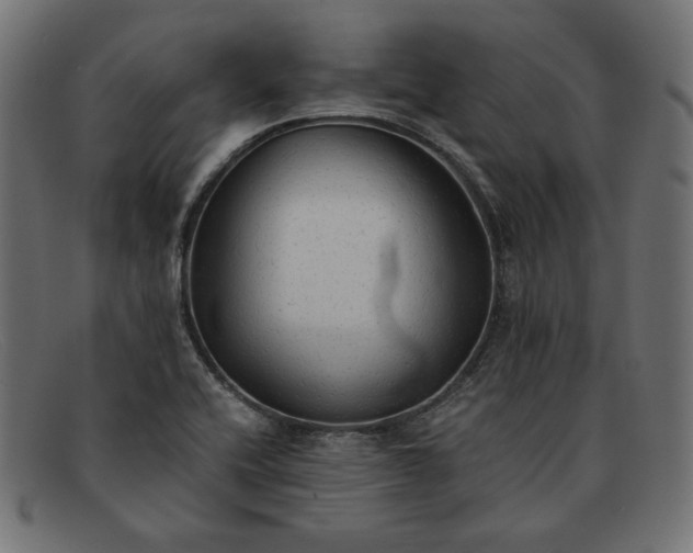 X0000091861416200709191107