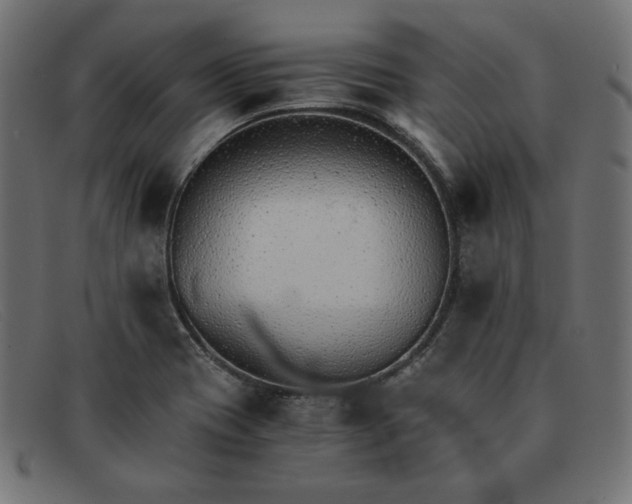 X0000091861417200709191107