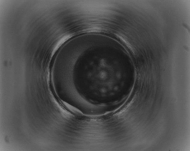 X0000091861418200709191107