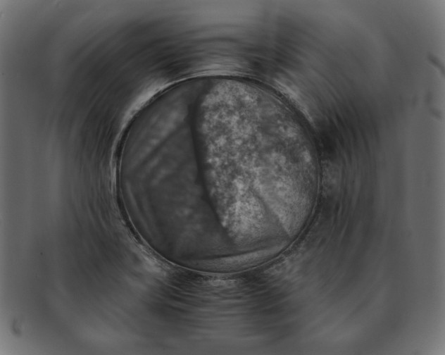 X0000091861419200709191107