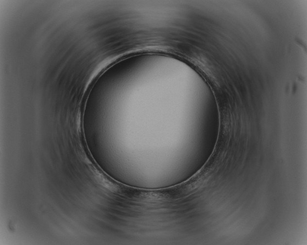 X0000091861420200709191107